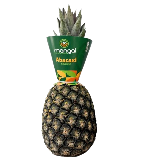 Abacaxi Mangai (und)