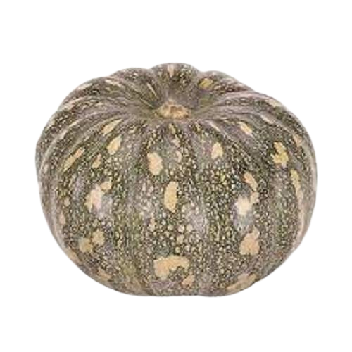 Abóbora Jacarezinho