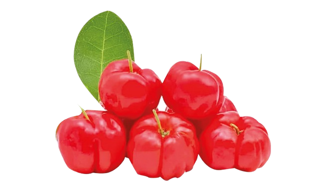 Acerola Congelada