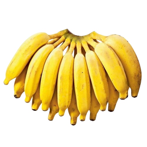 Banana Prata/Pacovan