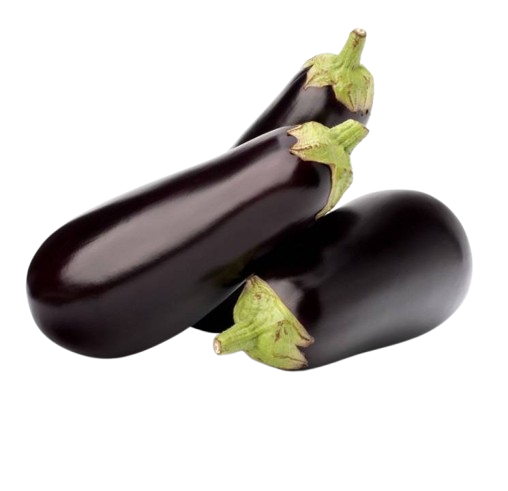 Berinjela