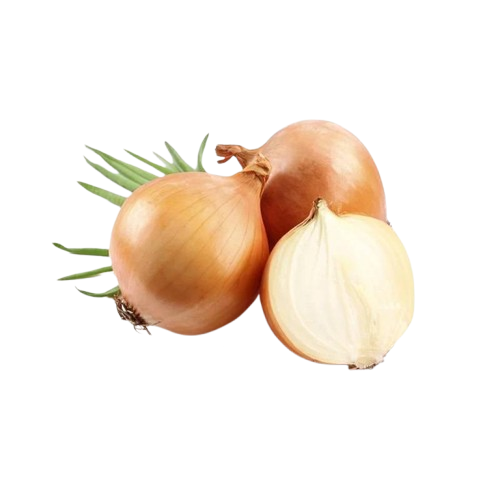 Cebola Branca