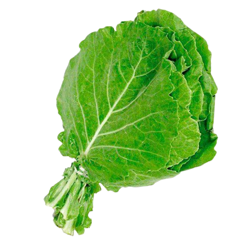 Couve Folha