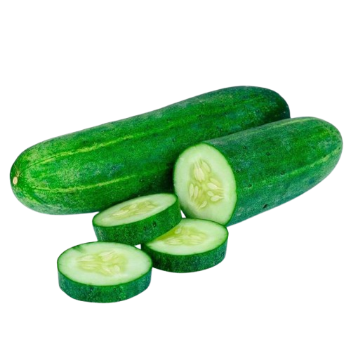 Pepino Comum