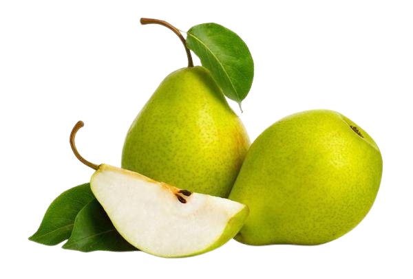 Pera D'anjou 100