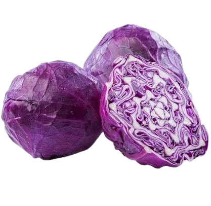 Repolho Roxo