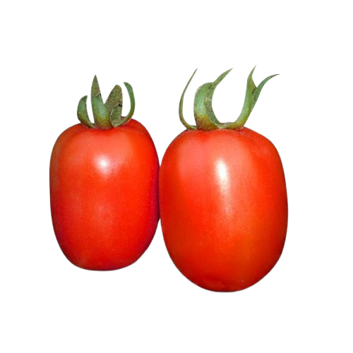 Tomate 1ª